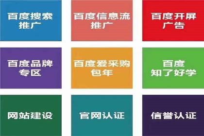 SEM推广技巧：成功案例深度剖析